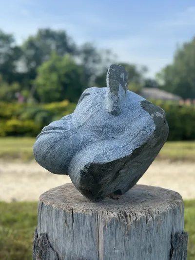 Skulptūra - Beždžionės galva