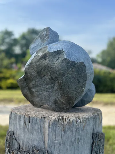 Skulptūra - Beždžionės galva