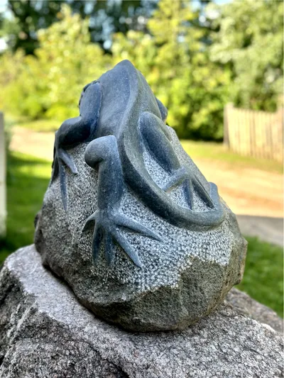 Skulptūra - Driežas