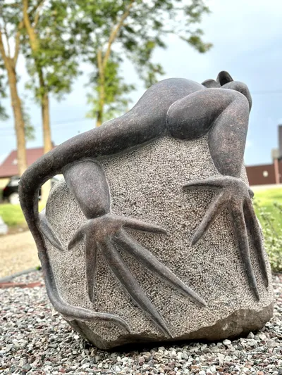 Skulptūra - Driežas